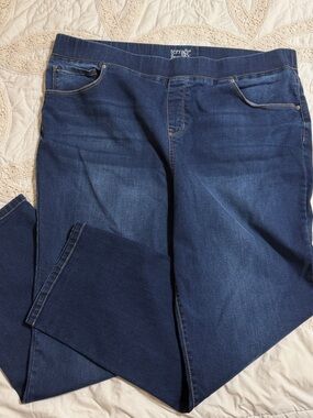 Terra & Sky Dark Wash Denim Pull-On Jeggings